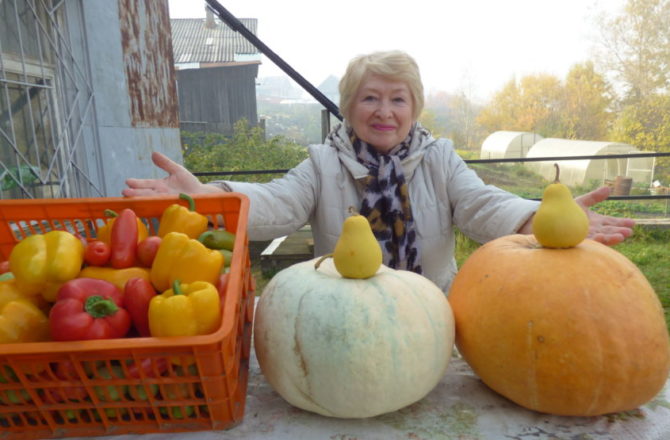 Людмила Колесникова из Соликамска делится секретами огородных экспериментов